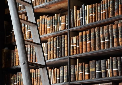 Wooden stepladder by bookshelves