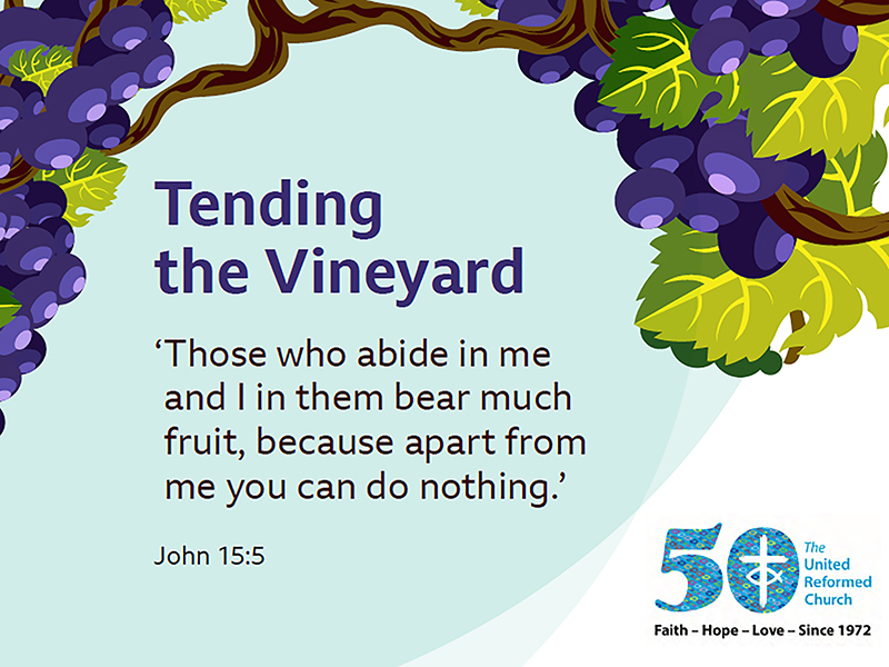 Tending the Vineyard graphic